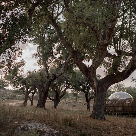 Finca El Cortinal Valencia de Alcántara Dış mekan fotoğraf