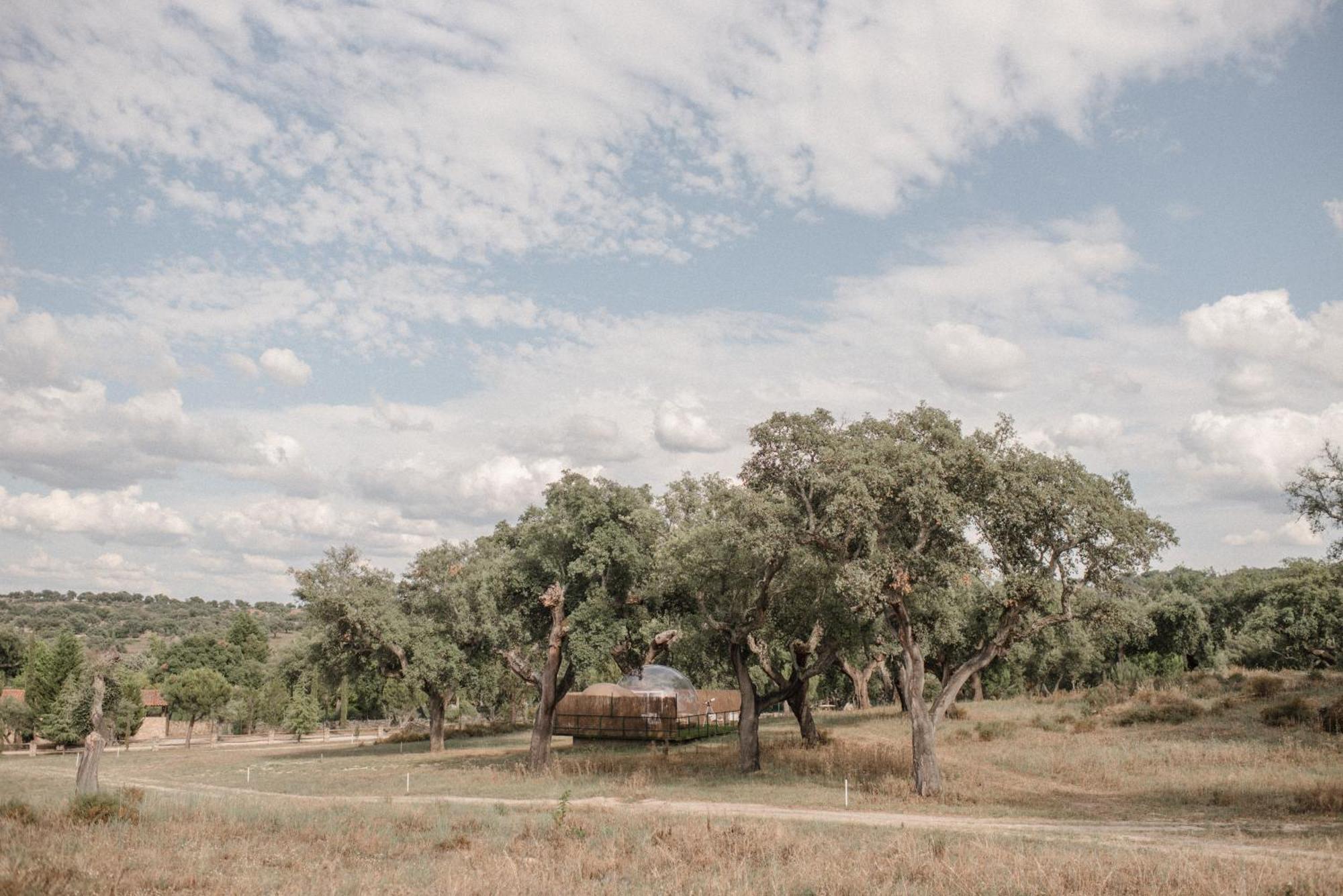 Finca El Cortinal Otel Valencia de Alcántara Dış mekan fotoğraf