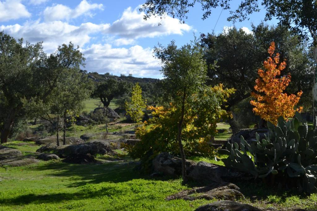 Finca El Cortinal Otel Valencia de Alcántara Oda fotoğraf